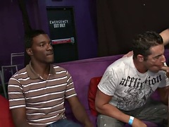 Avsugning, Fetisch, Homosexuell, Grupp, Party, Offentlig, Verklighet, Suger