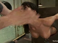 Gia DiMarco Day 2 Training: Big Tits Blowjob & Facial in HD