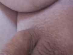 Táta, Evropské, Sólo