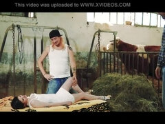 Anaali, Iso kulli, Tupla penetraatio, Italialainen, Äiti jota haluaisin panna, Orgiat, Ulkona, Teini