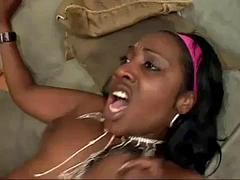 Lepotice, Črnke, Fafanje, Temnopolti, Hardcore, Lizanje