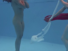 Tekintélyes didik, Gesztenyebarna, Nagylány, Medence, Nyilvános, Tini, Begyek, Víz alatt