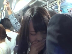 Amatőr, Tekintélyes didik, Eszetlen, Krémes süti, Erotikus, Nézőpont, Tini, Begyek