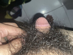 Amatőr, Szőrös, Indonéz, Egyedül