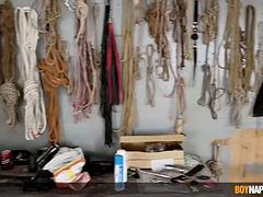 Гибкие, Геи