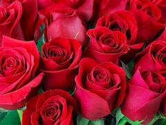 Anál, Zadok k puse, Teta, Veľký zadok, Indické, Dospelé, Milf  mčbp, Nevlastná mama