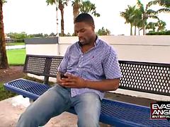 Monumentális dákó, Fekete, Cumizás, Ébenfekete, Kézimunka, Kőkemény, Nyalás, Maszti