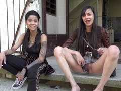 Kuřba, Brunetka, Na pejska, Prstění, Honění, Venku, Různé pohledy, Švédská rojka