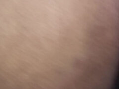 대학교, 모음집, 머리카락이 많은, 인도인, 나이든, 비서, 선생, 와이프