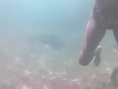 Пляж, Обнаженные, Голышом, Нудисты, На публике, Соло, Стриптиз, Под водой