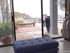 Tekintélyes didik, Szőke, Krémes süti, Felszarvazott, Érett feleség, Leborotvált