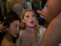 Avsugning, Doggystyle, Handjobb, Underkläder, Party, Suger, Swingers, Våt