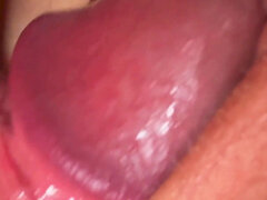 Amatör, Creampie, Sperma shot, Fitta