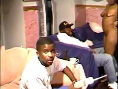 Анальный секс, Большой член, Большие сиськи, Черные, Минет, Черненькие, Сиськи, Винтаж