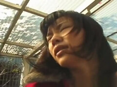 Asiatisk, Bukkake, Bil, Hårig, Japansk