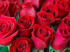 Da bunda para a boca, Tia, Bundão, Punheta, Indianoa, Maduroa, Mãe gostosa