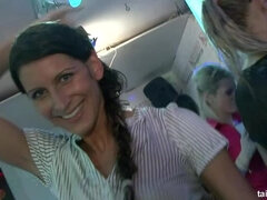 Obciąganie, Taniec, Wielorasowy, Lizanie, Orgia, Strona, Swingers, Mokry