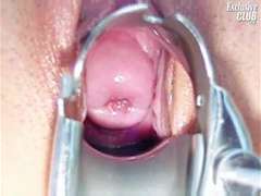 Kötözés – fegyelmezés, Gesztenyebarna