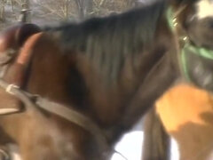 Store pupper, Blond, Sperm skott, Gruppe, Hårete, Runke, Naturlig, Vintage