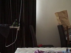 Flickvän, Trekant