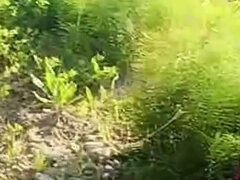 Enthousiasteling, Anaal, Europees, Buiten, Alleen, Webcamera