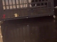 Sadomasochismus, Weibliche domination, Latex, Herrin, Sklave