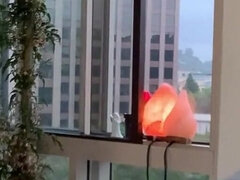 Amatéři, Velké péro, Pár, Jezdectví