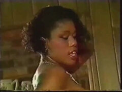 Velike joške, Črnke, Temnopolti, Medrasni seks, Najstnice, Retro