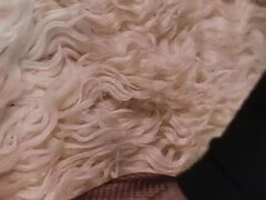 素人, 足フェチ, 淫乱熟女, 一人