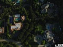 Anaal, Kont naar mond, Grote mammen, Blond, Lul, Hardcore, Likken, Kut duiken