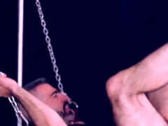 Velké péro, Kuřba, Stříkání spermatu, Fetiš, Vlasaté, Swingers, Tetování