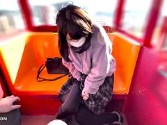 Remote control Ferris wheel