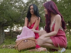 Stunning chicks worship each other's pussy during picnic