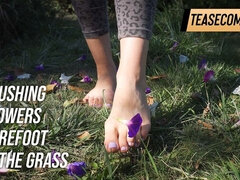 Crushing Flowers Barefoot in the Grass