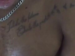 Arab, Hatalmas hátsó, Fekete, Cumizás, Gesztenyebarna, Felszarvazott, Nézőpont, Hármas