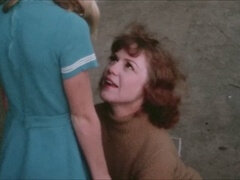 Retro, Pehmo, Vuosikerta