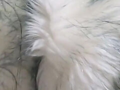 Leie, Blasen, Braunhaarige, Latina, Milf