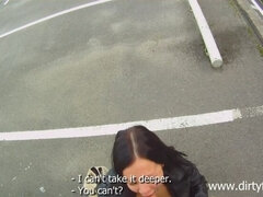 Monumentális dákó, Cumizás, Gesztenyebarna, Szabadban, Nézőpont