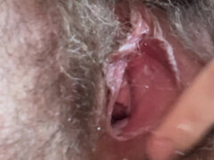 Amateur, Fétiche, Poilue, Chatte, Solo