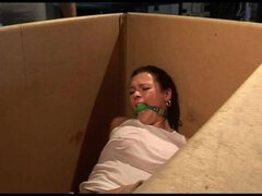 Vixen bound and ballgagged for transport