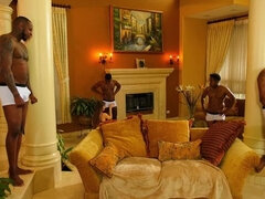 Sucer une bite, Gorge profonde, Hard, Interracial, Seins naturels