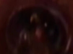 Πρωκτικό, Μεγάλος κώλος, Γερμανός, Αυνανισμός