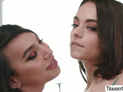 Анальный секс, Большие сиськи, Глубокая глотка, Ледибой, Лизание жопы, Трансы