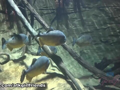 Krásky, Kuřba, Klasika, Roztomilá, Hlboký orál, Péro, Bradavky, Pička