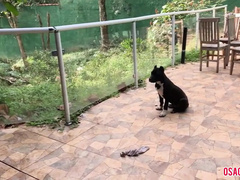 Para, Palcówka, Obciąganie, Hd, Dojrzałe, Mama, Nagi, Portugalski