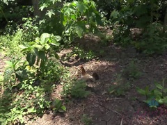 Sucer une bite, Doigter, Petite amie, Branlette thaïlandaise, Orgasme, De plein air, Pov, Voyeur