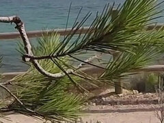 Amatoriale, Spiaggia, Pompino, Francese, Sega, Pubblico, Tette