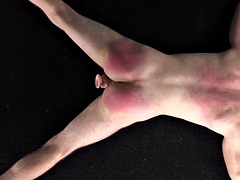 Hung slave stays hard while getting whipped - hard spanking, BDSM