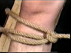 Anal, Gay bicha veado