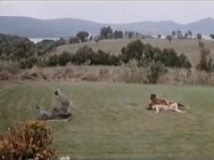 Hardcore, Orgia, Markowy